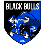 黑牛队标,黑牛图片