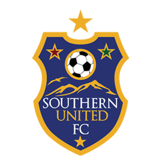 南方联队标,南方联图片