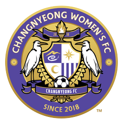 昌宁女足队标,昌宁女足图片