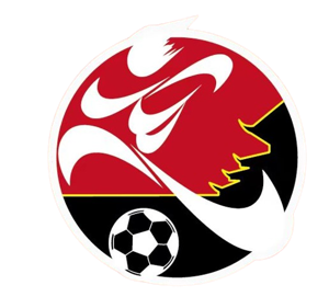 高硐村足球队队标,高硐村足球队图片