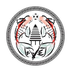 扒王村足球队队标,扒王村足球队图片