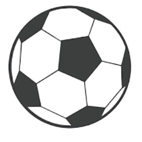 印尼超级联赛明星队队标,印尼超级联赛明星队图片