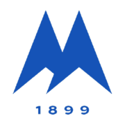 托基联队标,托基联图片