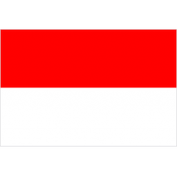 印尼女足U17队标,印尼女足U17图片