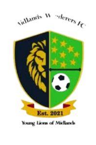 中部流浪者队标,中部流浪者图片