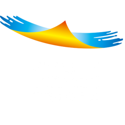 重庆两江新区足球队队标,重庆两江新区足球队图片