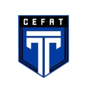 特尔CE青年队队标,特尔CE青年队图片