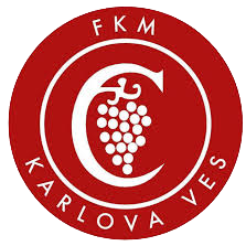 卡尔洛娃新U19队标,卡尔洛娃新U19图片