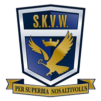 维多利亚流浪队标,维多利亚流浪图片